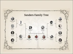 family History Website developer